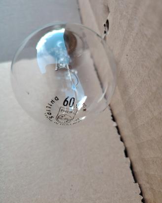 lampadine basso voltaggio 12 volt  da 40/60 watt  
