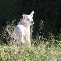 Eccomi sono qui,sai aspettavo proprio te