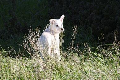 Eccomi sono qui,sai aspettavo proprio te