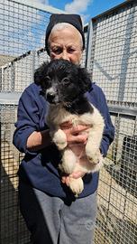 Smeralda: 3 mesi taglia contenuta