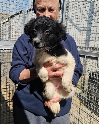 Smeralda: 3 mesi taglia contenuta