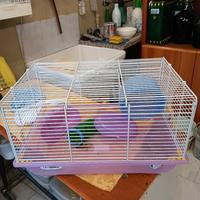 gabbia x criceto come nuova 