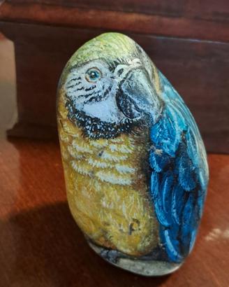 Pappagallo di pietra