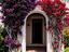 Immagine 9