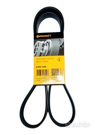 Cinghia Poly-V 6Pk1420