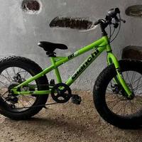 Fat bike Bianchi