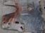 Immagine 10