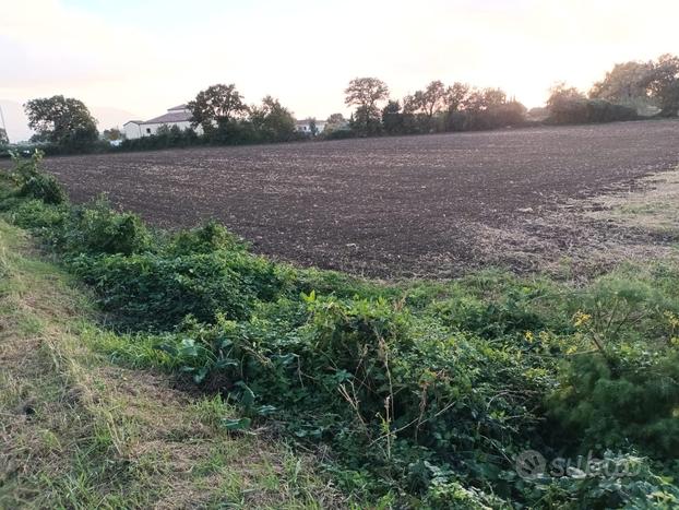 Terreno a pochi km dal centro di Cerrelli