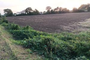 Terreno a pochi km dal centro di Cerrelli