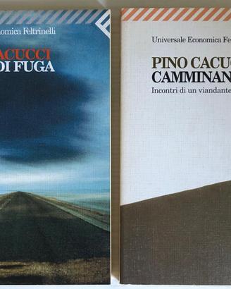 Lotto due libri Pino Cacucci