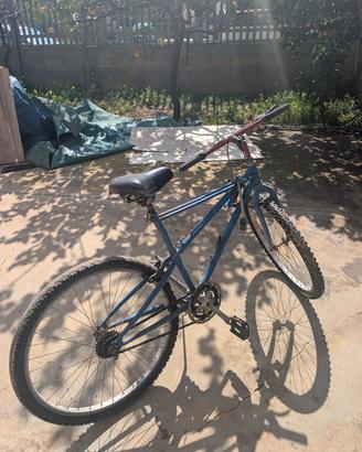 Mountain Bike a Crotone 