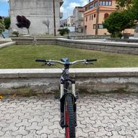 bici da enduro/downhill