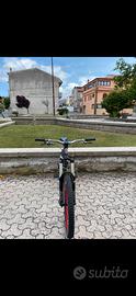 bici da enduro/downhill