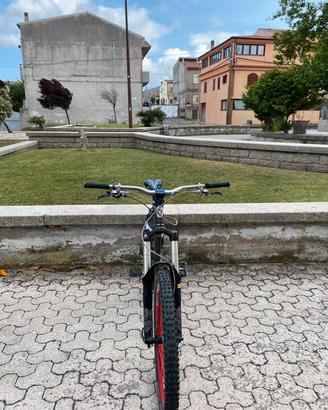 bici da enduro/downhill