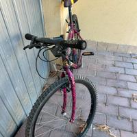 Bici hazard (i cavalli)