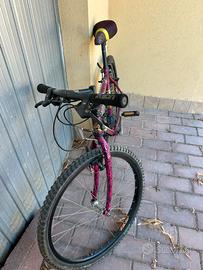 Bici hazard (i cavalli)