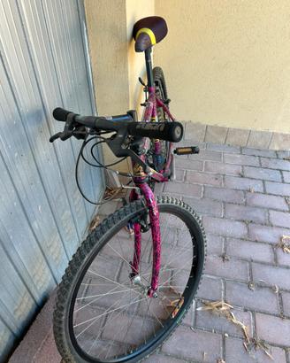 Bici hazard (i cavalli)