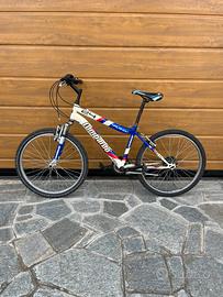 Bicicletta Lombardo