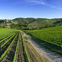 Stampa fotografica FINE ART alta qualità (#111)