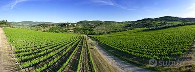 Stampa fotografica FINE ART alta qualità (#111)