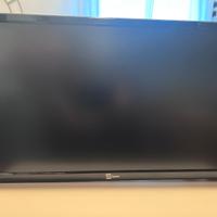 Televisore TELESystem Palco 19 Led