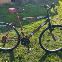 Bicicletta Mountain Bike