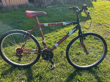 Bicicletta Mountain Bike