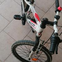 bicicletta 22