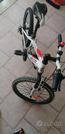 bicicletta 22