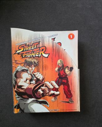 statuette street fighter 