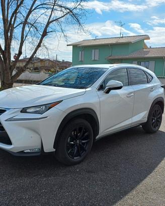 Lexus NX 300h Hybrid 4WD Luxury