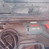 Sega a gattuccio bosh