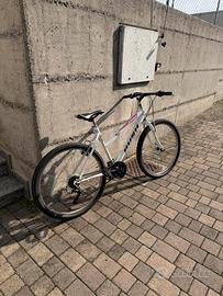 Mountain Bike / Bici da Città
