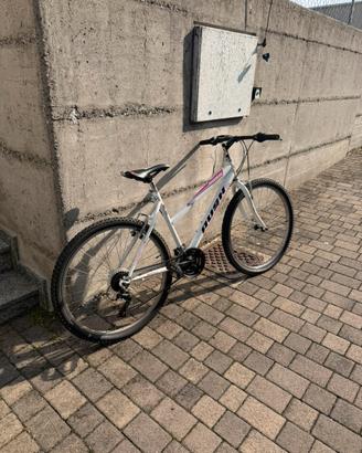 Mountain Bike / Bici da Città