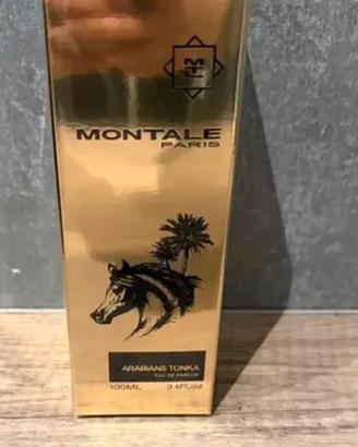 Arabians tonka montale