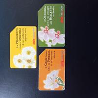 Lotto Scheda Telefonica Messaggi Floreali Margheri