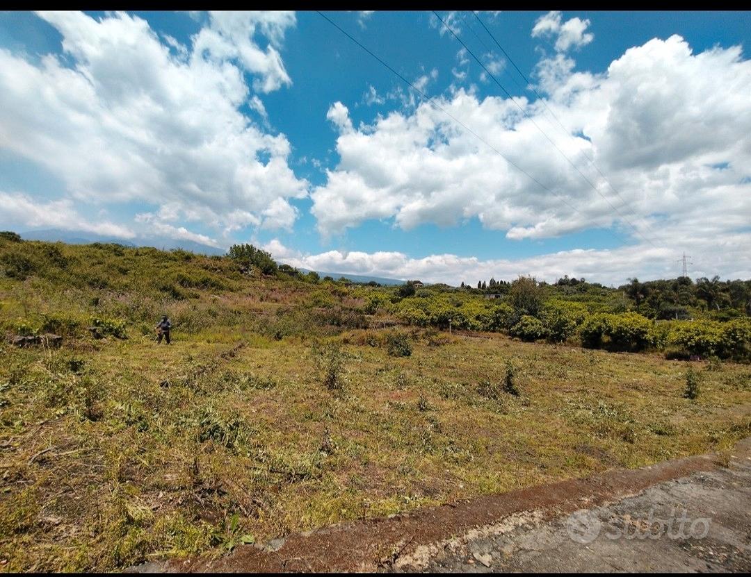 Terreno agricolo di 5050 m² - Vista 2