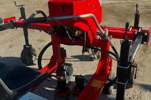 Sarchiatrice interpianta Spapperi