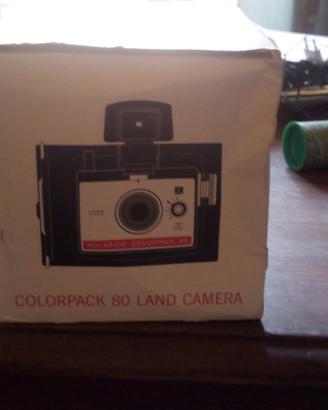 polaroid