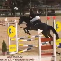 Cavallo