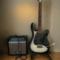 chitarra peavey custom raptor