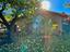 Immagine 29
