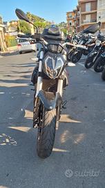 Benelli 302 S 2019