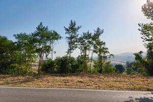 Terreno agricolo