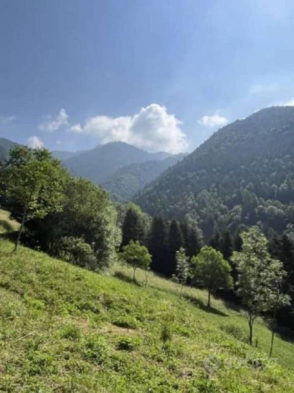 Immobile in asta di 30510 m² a Vilminore di Scalve - Altro