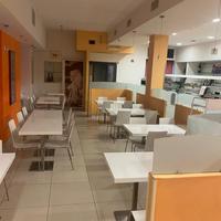 Attività Gastronomica e Tavola Calda