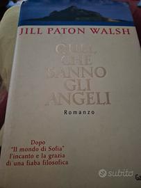 quel che sanno gli angeli