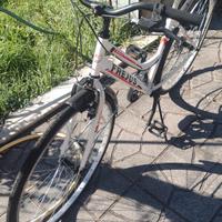 bicicletta da trekking