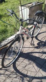 bicicletta da trekking