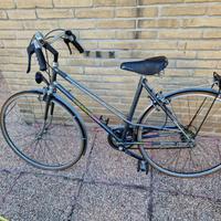 Bici Vintage Colnago Sports